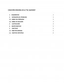 Proyecto vinculado con la comunidad