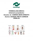 TERMINOLOGÍA MÉDICA