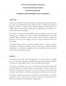 EL BORDADO COMO HERRAMIENTA SOCIAL Y ECONOMICA