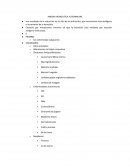 ANEMIA HEMOLITICA AUTOINMUNE