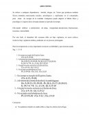 Analisis religion. ADICCIONES