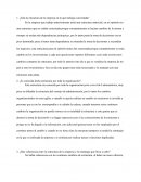 ¿Está la estructura de la empresa en la que trabajas concretada?