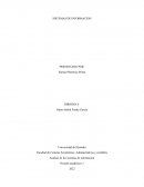 Análisis de los sistemas de información