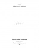 Estado de flujo de efectivo