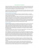 BRUJAS PARTERAS Y ENFERMERAS