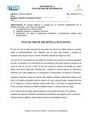 CICLO DE VIDA DE UNA BOTELLA DE PLASTICO