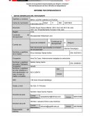 INFORME PSICOPEDAGÓGICO