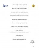 Ensayo estructura del protocolo de investigacion