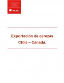 Exportación de cerezas Chile – Canadá