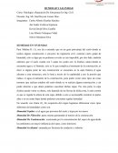 HUMEDAD EN VIVIENDAS