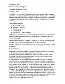 Secuencia de tercer grado