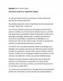 Tecnicatura superior en seguridad e higiene