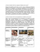 ¿Cuál es la relación del pH con respecto al deterioro de la carne?