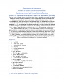 Capacitación de Laboratorio