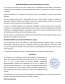 MICROORGANISMOS QUE SE ENCUENTRAN EN EL SUELO