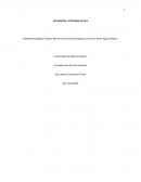 Tipologia del Caso Amber Heard