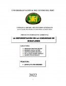 PROYECTO FORMATIVO AMBIENTAL