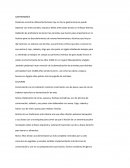 Patrimonios culturales y tradicionales