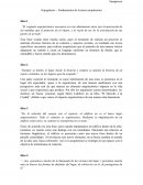 Topogénesis – Fundamentos de la nueva arquitectura