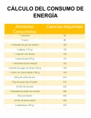 CÁLCULO DEL CONSUMO DE ENERGÍA
