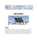 NOVELA DE CABALLERIA