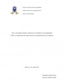 La cooperación como punto esencial en el descubrimiento de los esquemas