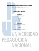 Estado del conocimiento del problema de investigación