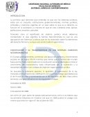 SISTEMAS JURÍDICOS CONTEMPORÁNEOS