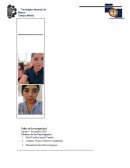 Estructura del Protocolo Investigación