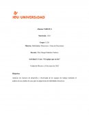 Actividad 2: Caso: “El equipo que no fue”