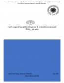 Cuadro comparativo y análisis de los patrones de producción y consumo entre México y otros países