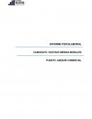 Informe psicolaboral