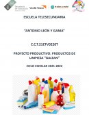 PROYECTO PRODUCTIVO: PRODUCTOS DE LIMPIEZA “GALEAN”