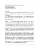 Problemática de la violencia digital en Bolivia y Latinoamérica