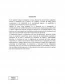 Modelo de trabajo SEGURIDAD Y SALUD EN EL TRABAJO