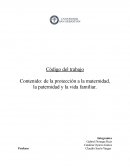 Ensayo Protección a la maternidad, la paternidad y la vida familiar