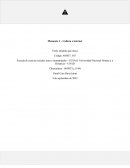 Momento 1 – Cultura e internet