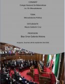 Que es la mercadotecnia politica