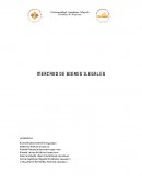 ENSAYO DE MERCADO DE BIENES ILEGALES