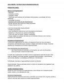 GUIA ESTRUCTURA DE NEGOCIOS