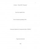 Negocios Internacionales. Evidencia 1: “Matriz DOFA “Presupuesto”