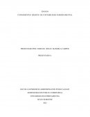 FUNDAMENTOS BÁSICOS DE CONTABILIDAD GUBERNAMENTAL