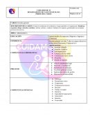 Perfiles de cargo. Gerente general