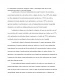 POLINIZADORES EN PELIGRO