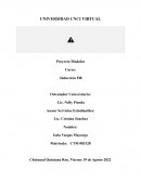 PROYECTO MODULAR INDUCCION