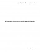 Causas de la Caída del Imperio Romano