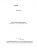 Pensamiento estrategico empresa Guirnaldas Innovaflora SAS