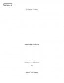 Caso practico 1 la empresa y su entorno