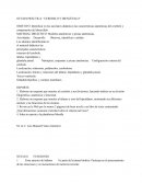 OCTAVA PRÁCTICA: “CEREBELO Y DIENCÉFALO”