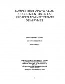 SUMINISTRAR APOYO A LOS PROCEDIMIENTOS EN LAS UNIDADES ADMINISTRATIVAS DE MIPYMES